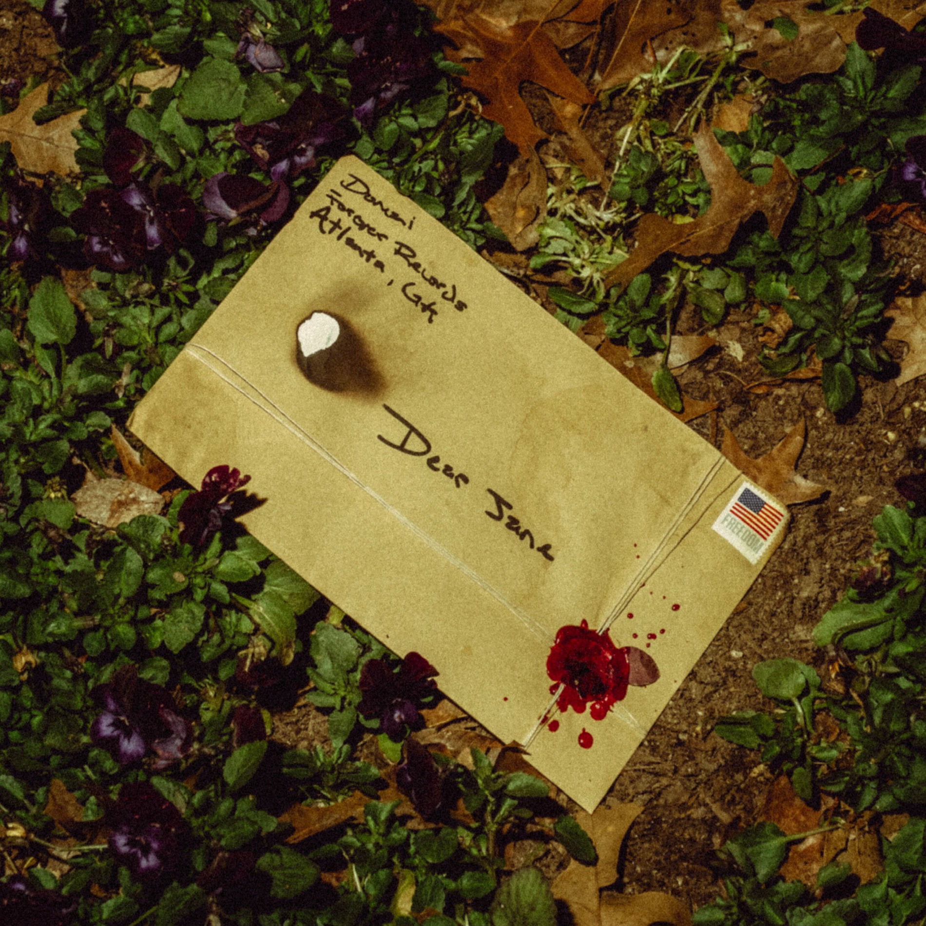 Album cover of Dear Jane