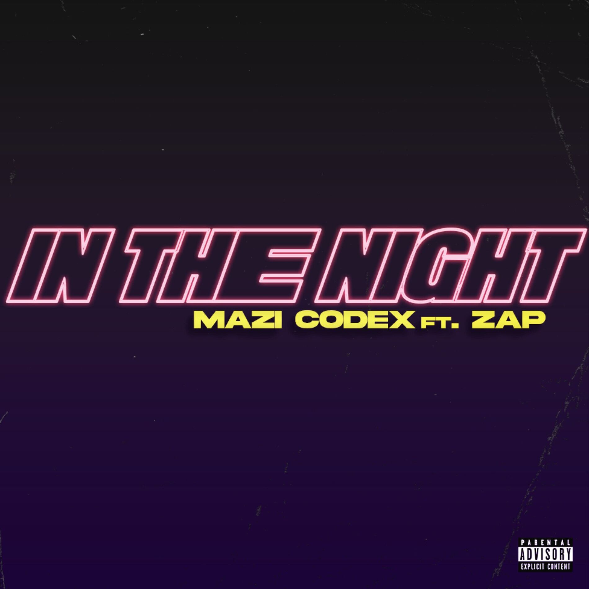 Album cover of In The Night