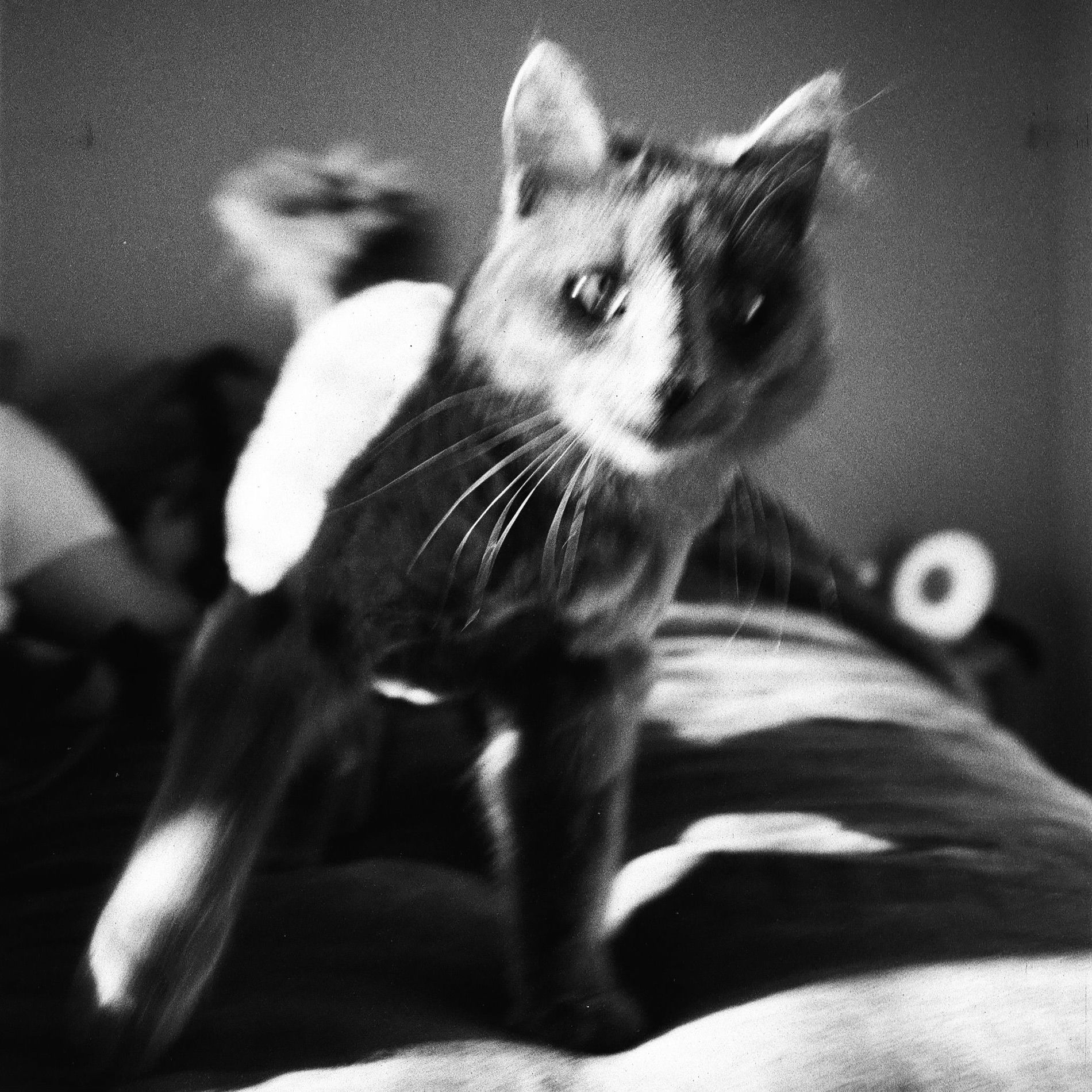 Album cover of Thinking of You