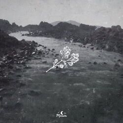 Cover of Cool Side Of The Pillow