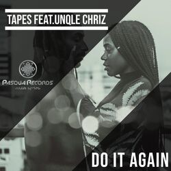 Cover of Do It Again