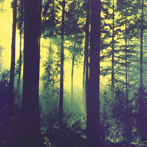 Thy Serpent - Forests of Witchery | Deezer