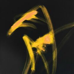 Cover of Gaivotas