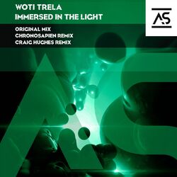 Cover of Immersed In The Light