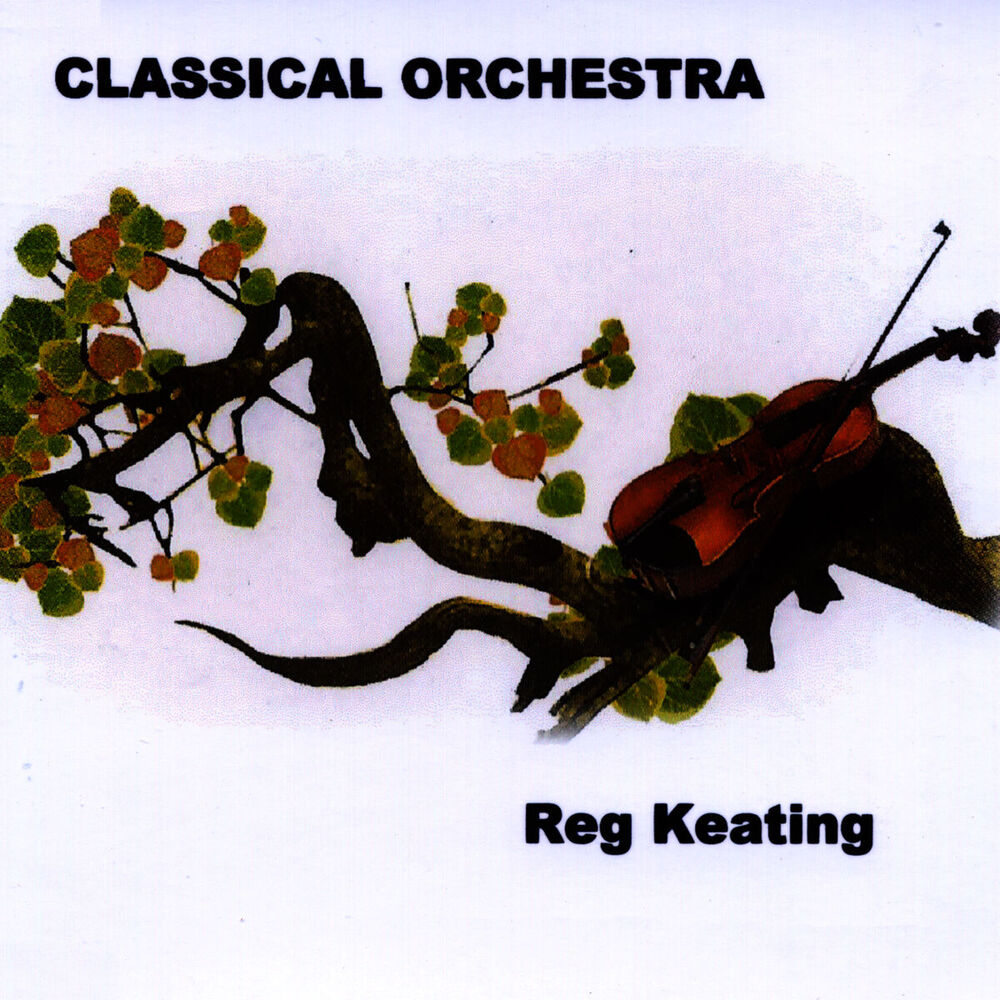 Picture of Classical Orchestra