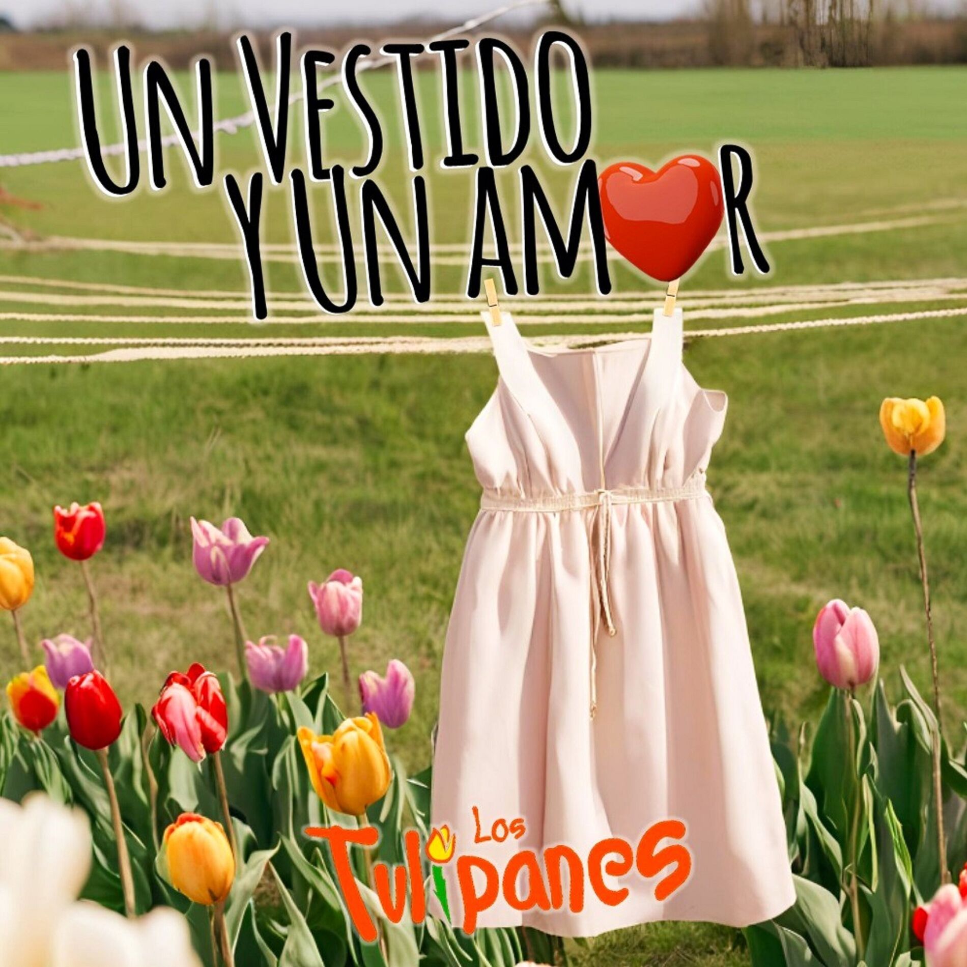 Album cover of Un Vestido y Un Amor