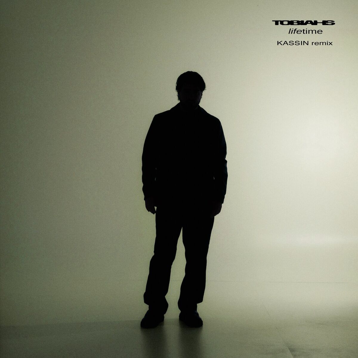 Album cover of Lifetime (KASSIN Remix)