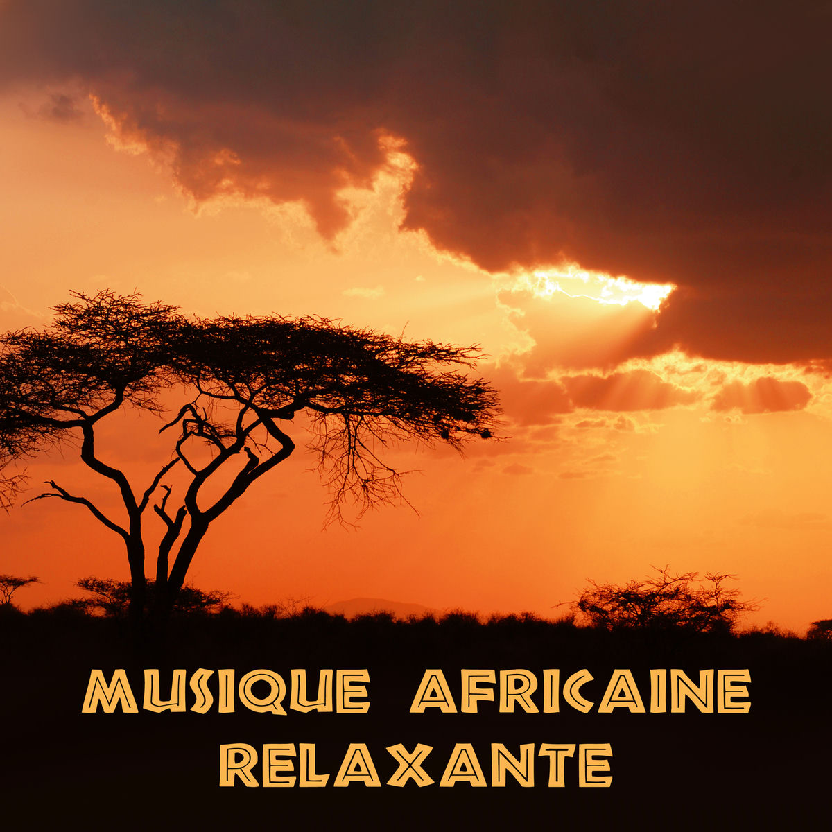 Album cover of Musique africaine relaxante: Sons traditionnels, La nature sauvage, Tambours de guérison