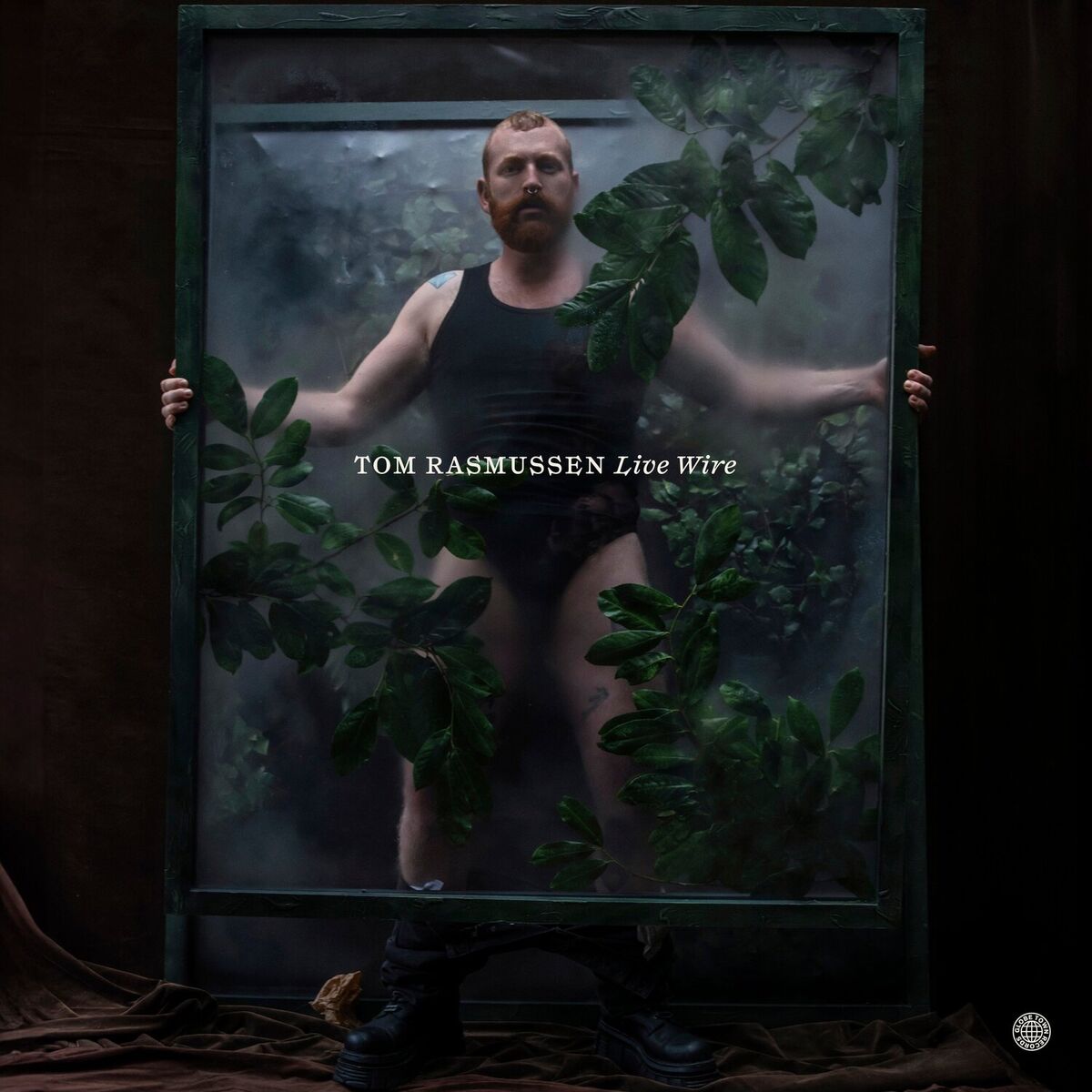 Album cover of Live Wire