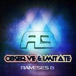 Cover of Observe & Imitate
