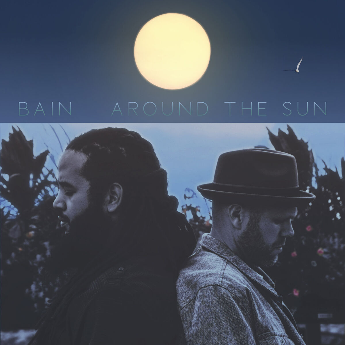 Album cover of Around the Sun