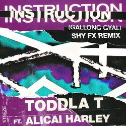 Cover of Instruction (Gallong Gal) (Shy FX Remix)