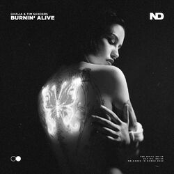 Cover of Burnin’ Alive