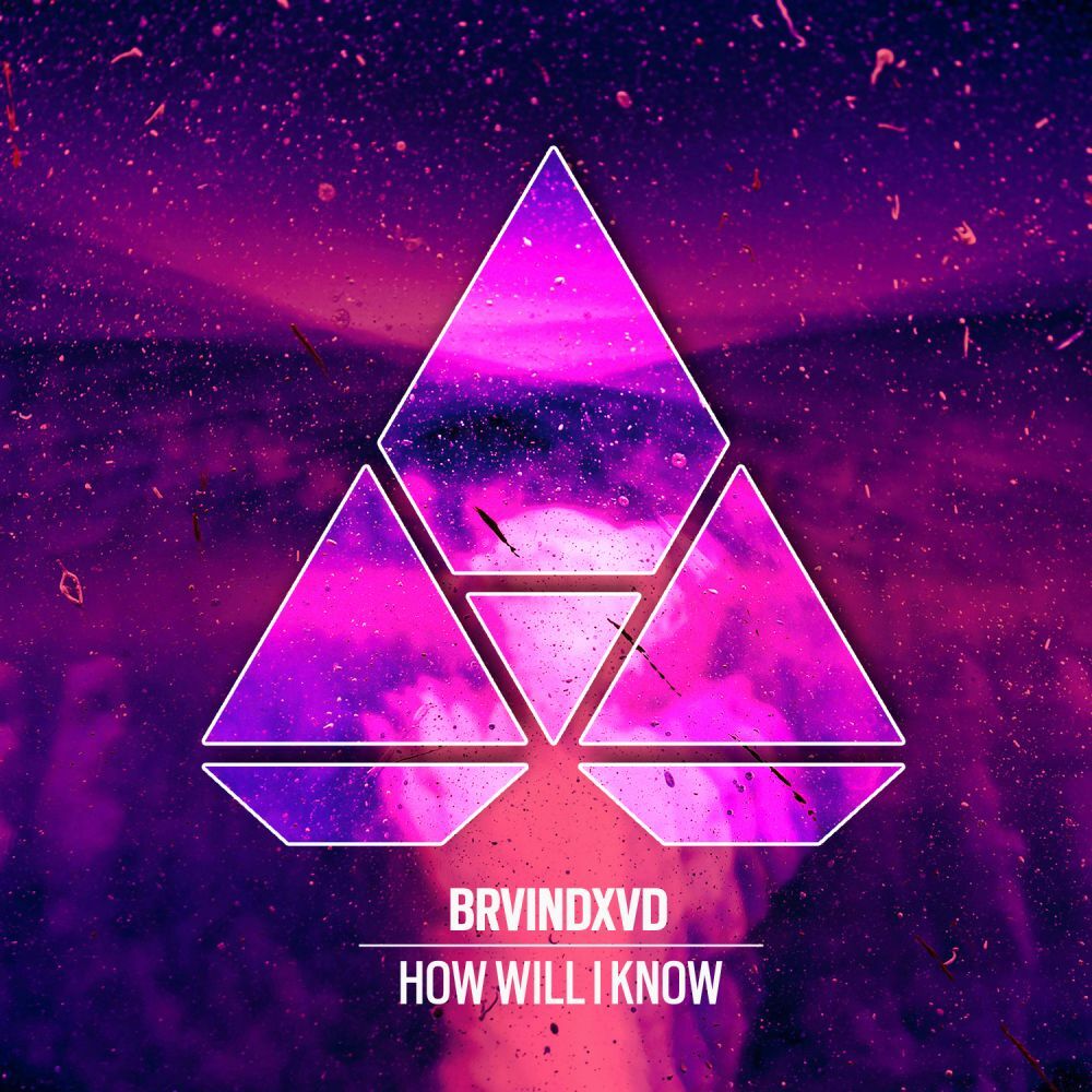 Picture of How Will I Know