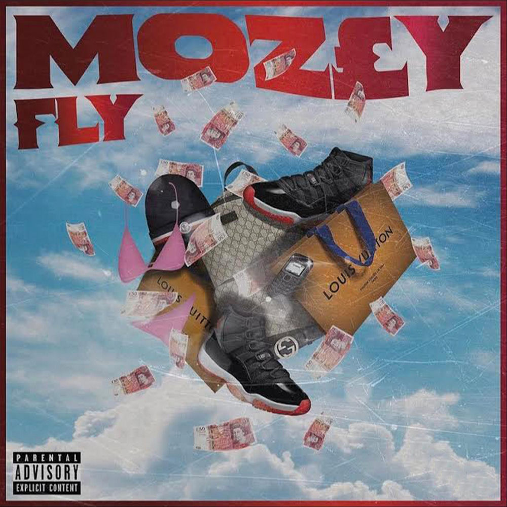 FLY cover