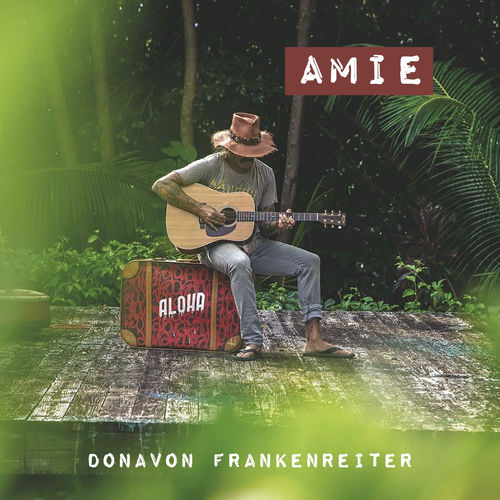 Amie sleeve