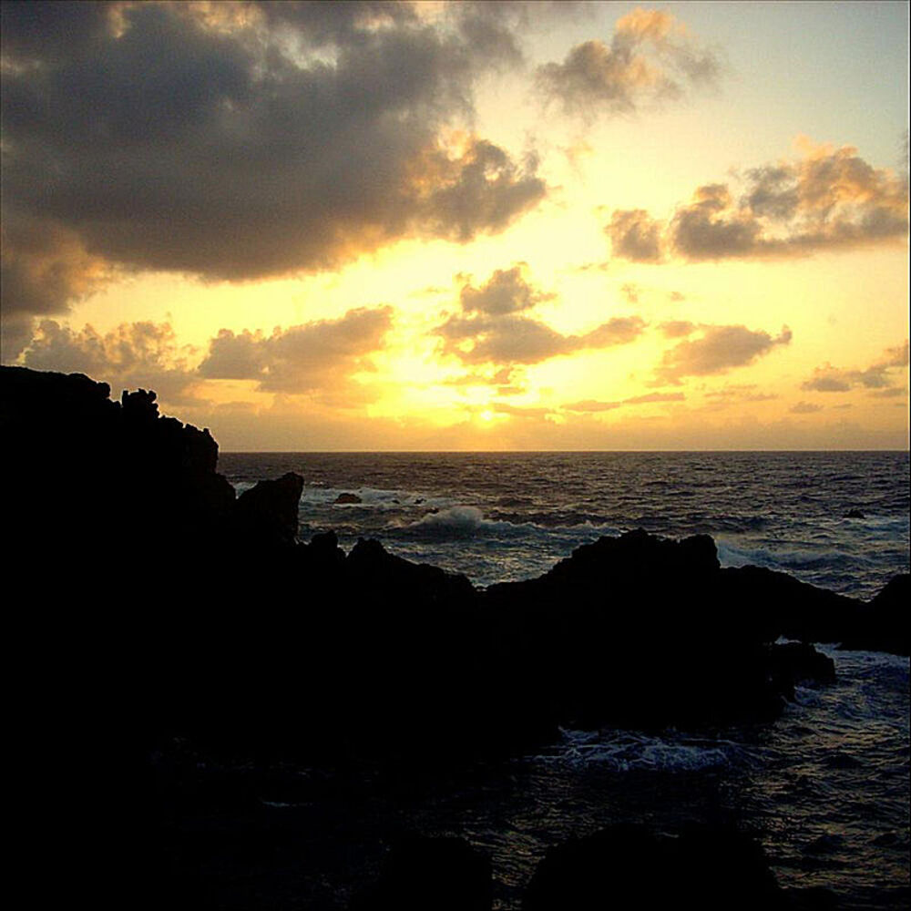 Picture of Gold of the Sun
