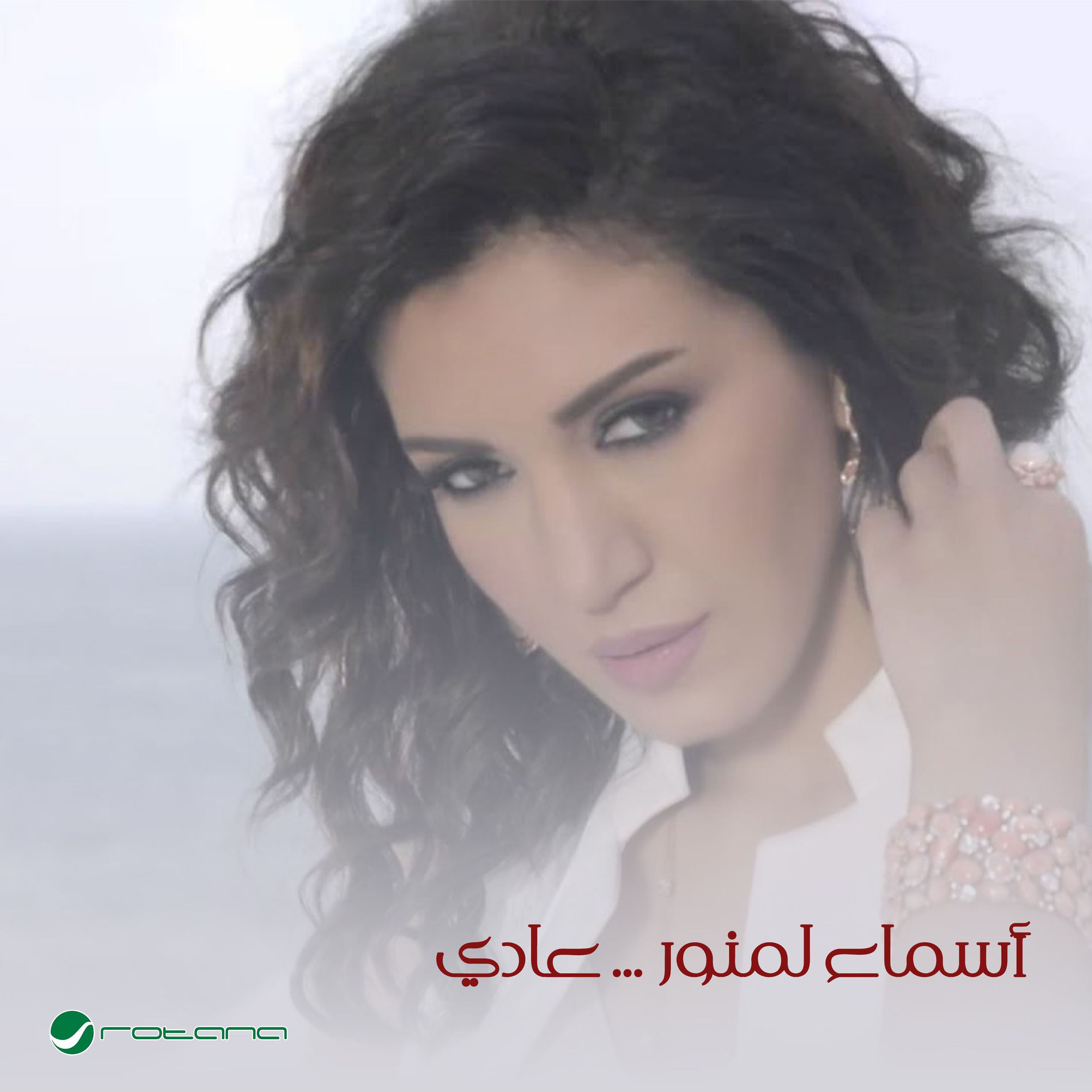 Album cover of Aadi