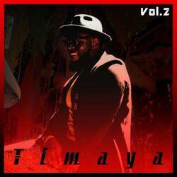 Cover of Timaya Vol.2