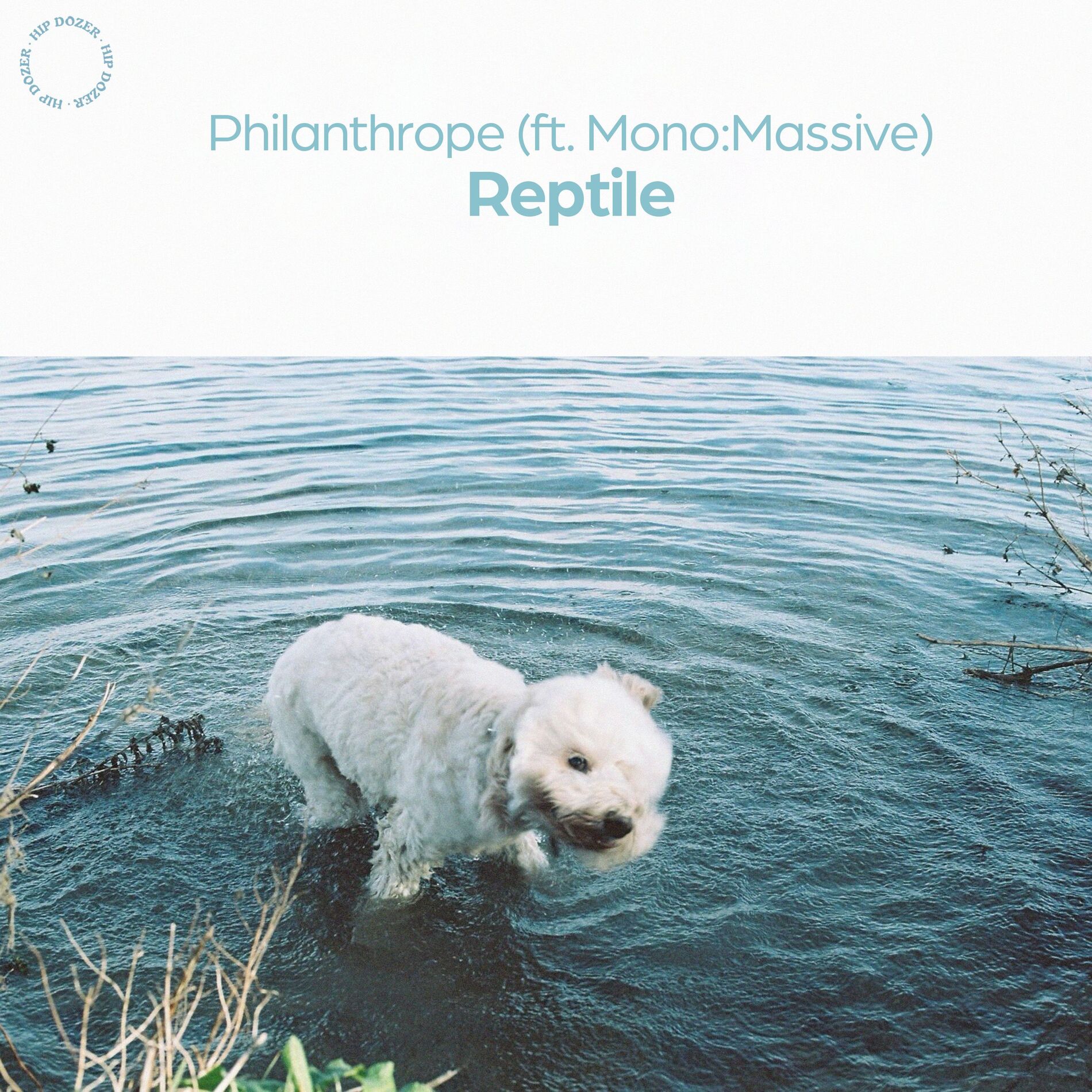 Album cover of REPTILE
