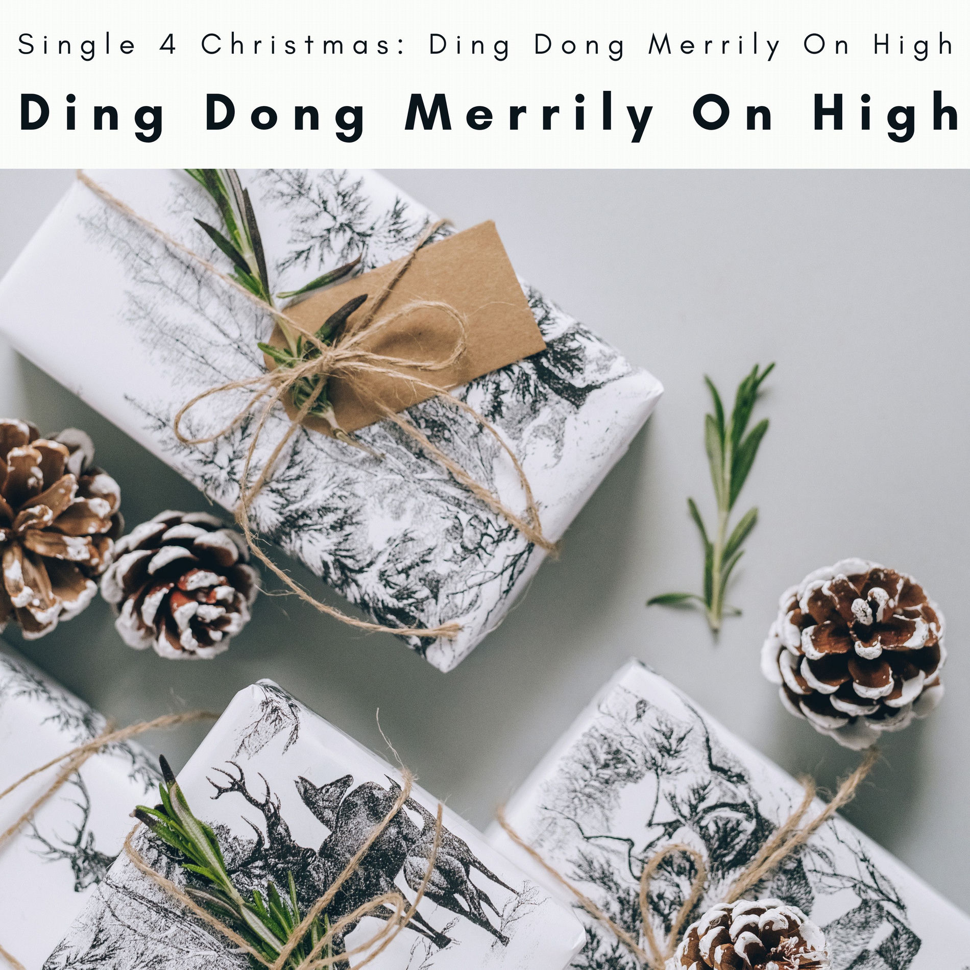 Album cover of Ding Dong Merrily On High