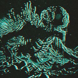 Cover of NIGHT SEIGE