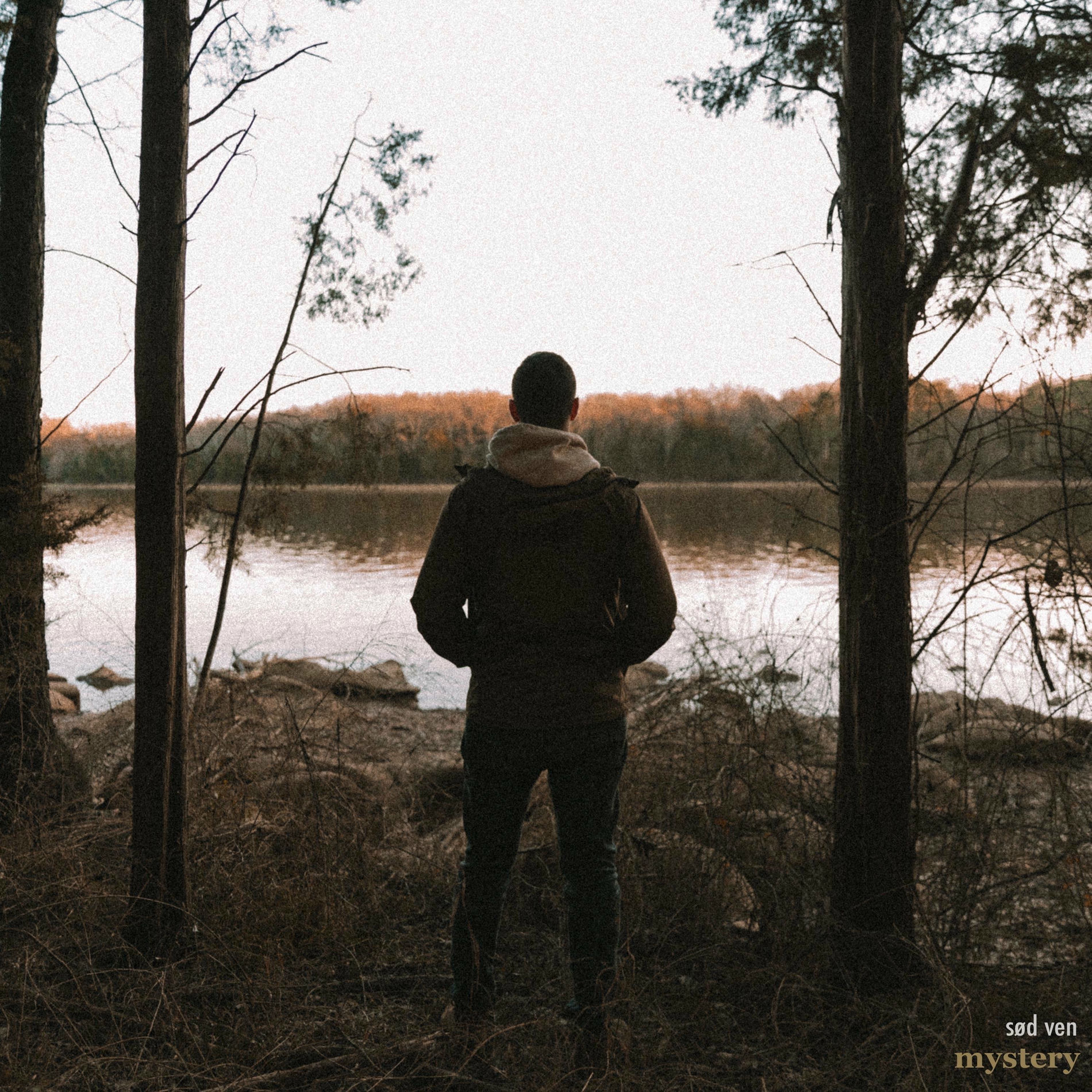Album cover of mystery