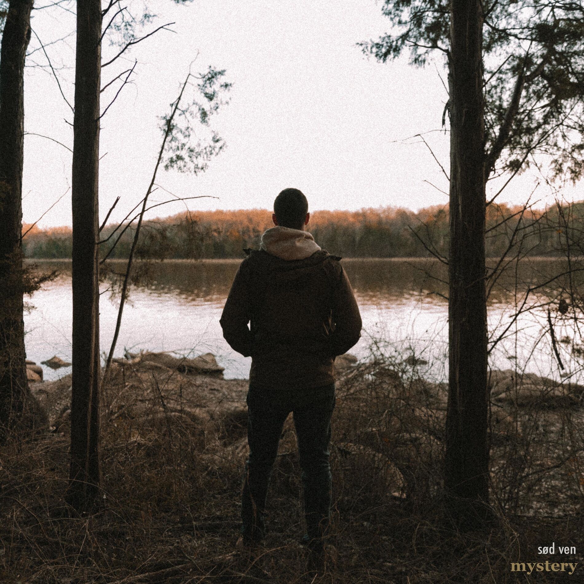 Album cover of mystery