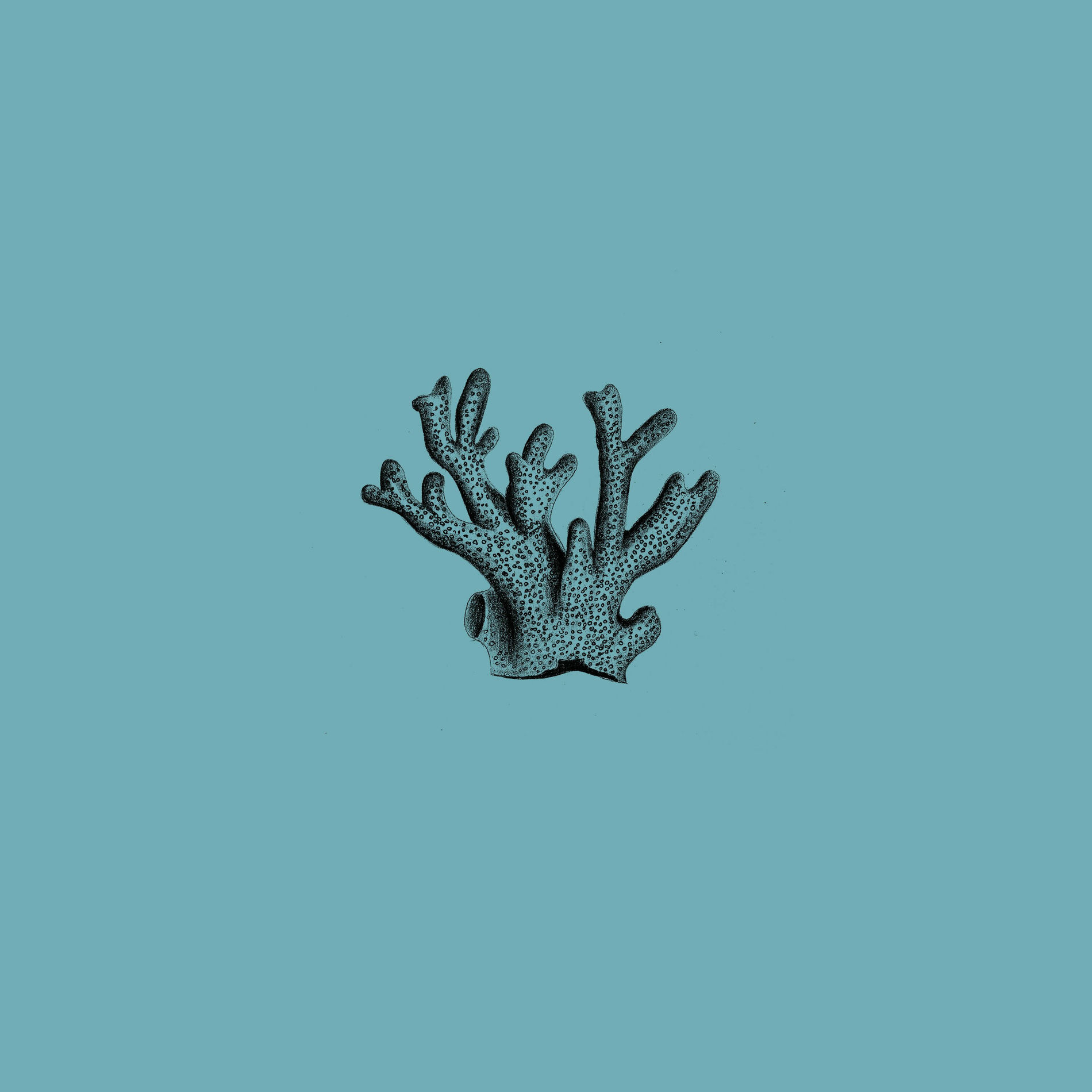 Album cover of Anchor