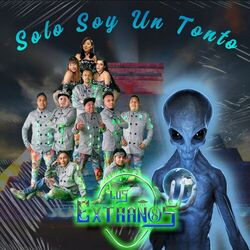 Cover of Solo Soy un Tonto