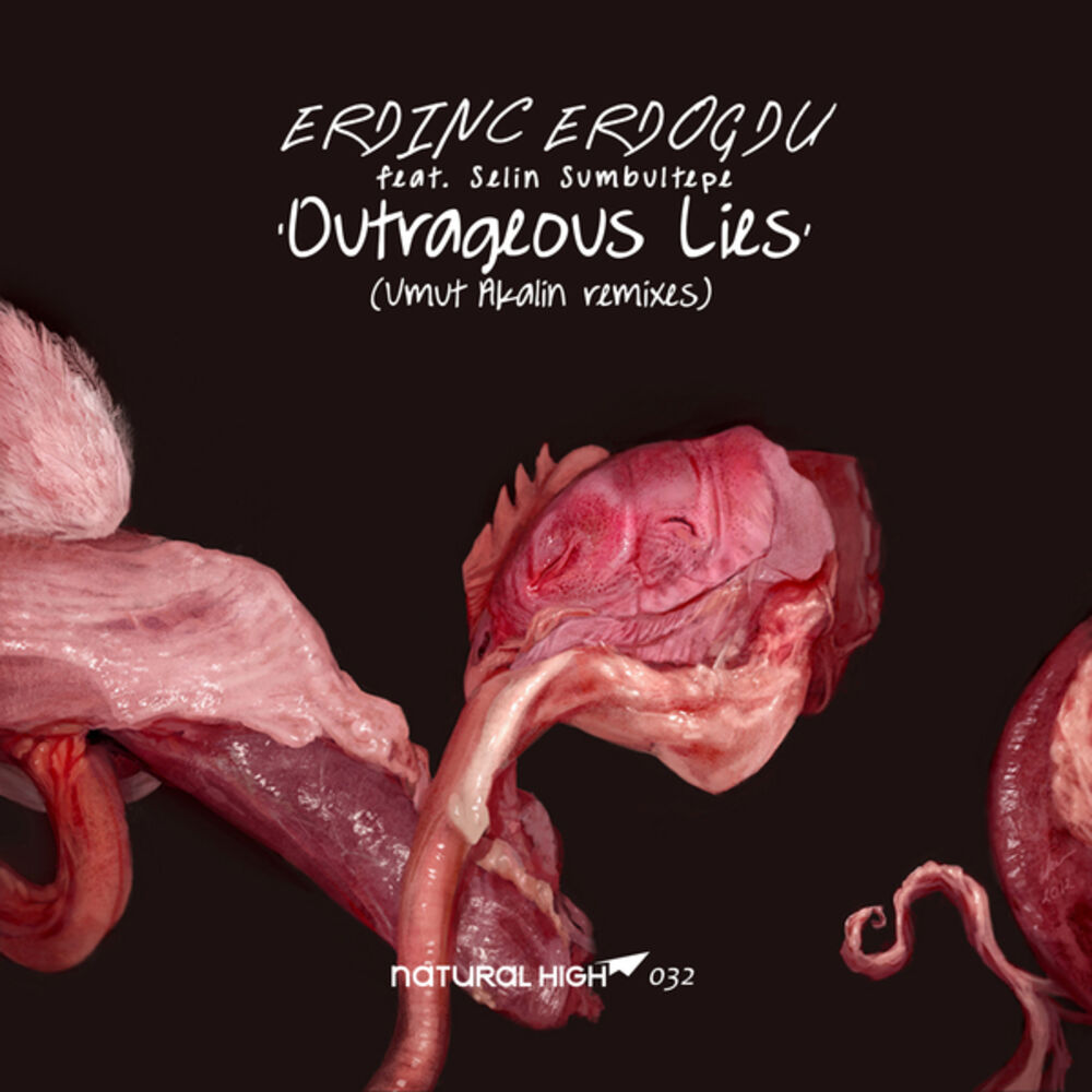 Picture of Outrageous Lies (Umut Akalin Remixes)