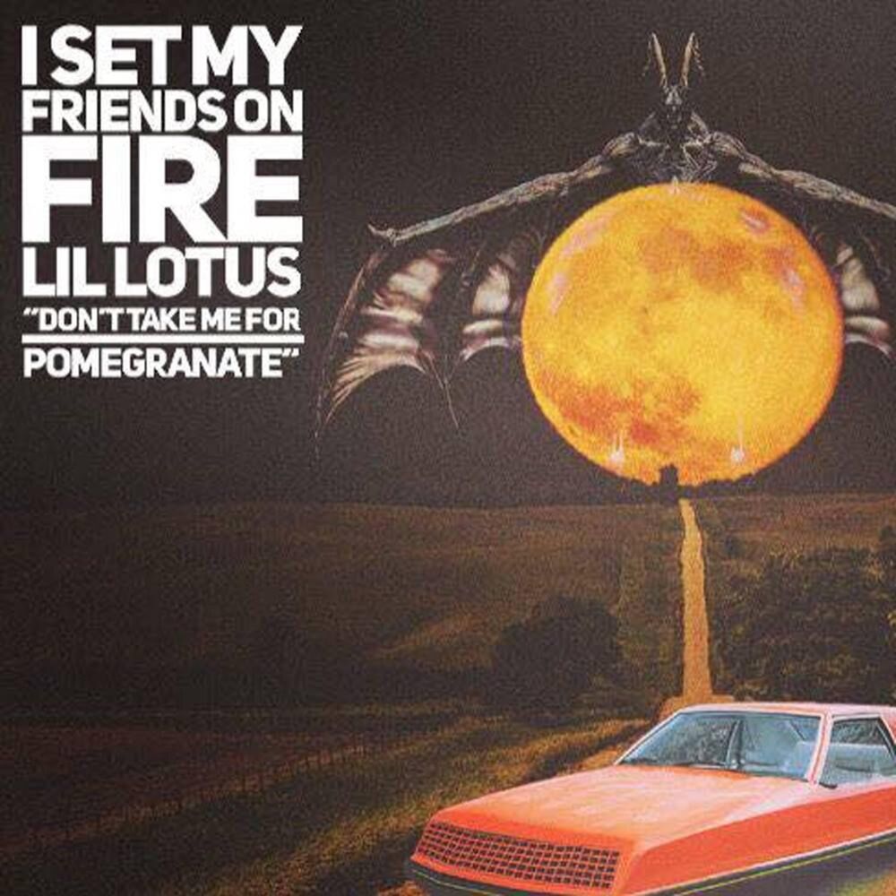 Picture of Don't Take Me for Pomegranate (feat. Lil Lotus)