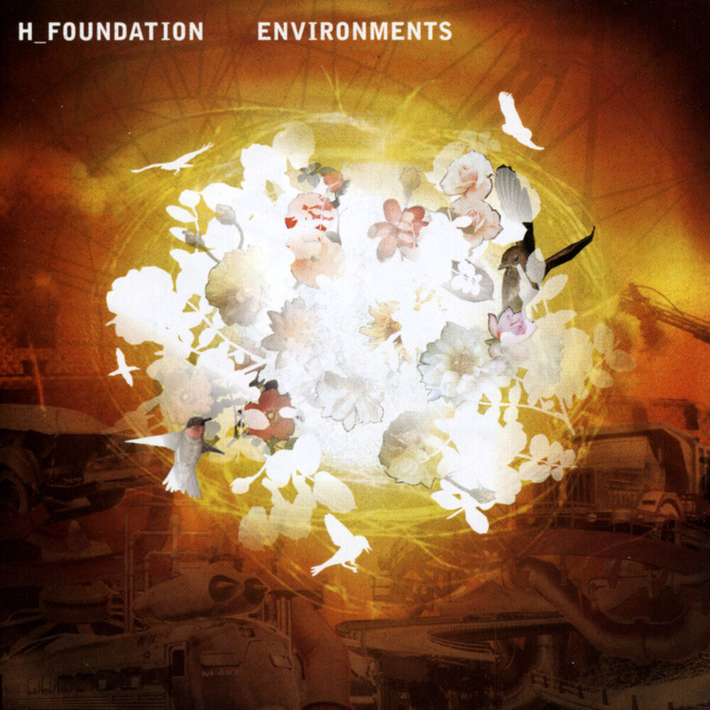 Picture of Environments
