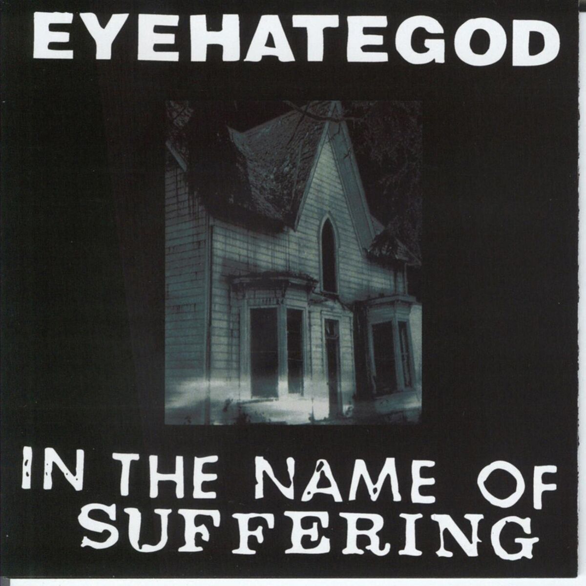 Album cover of In the Name of the Suffering (remastered Re-issue + Bonus)