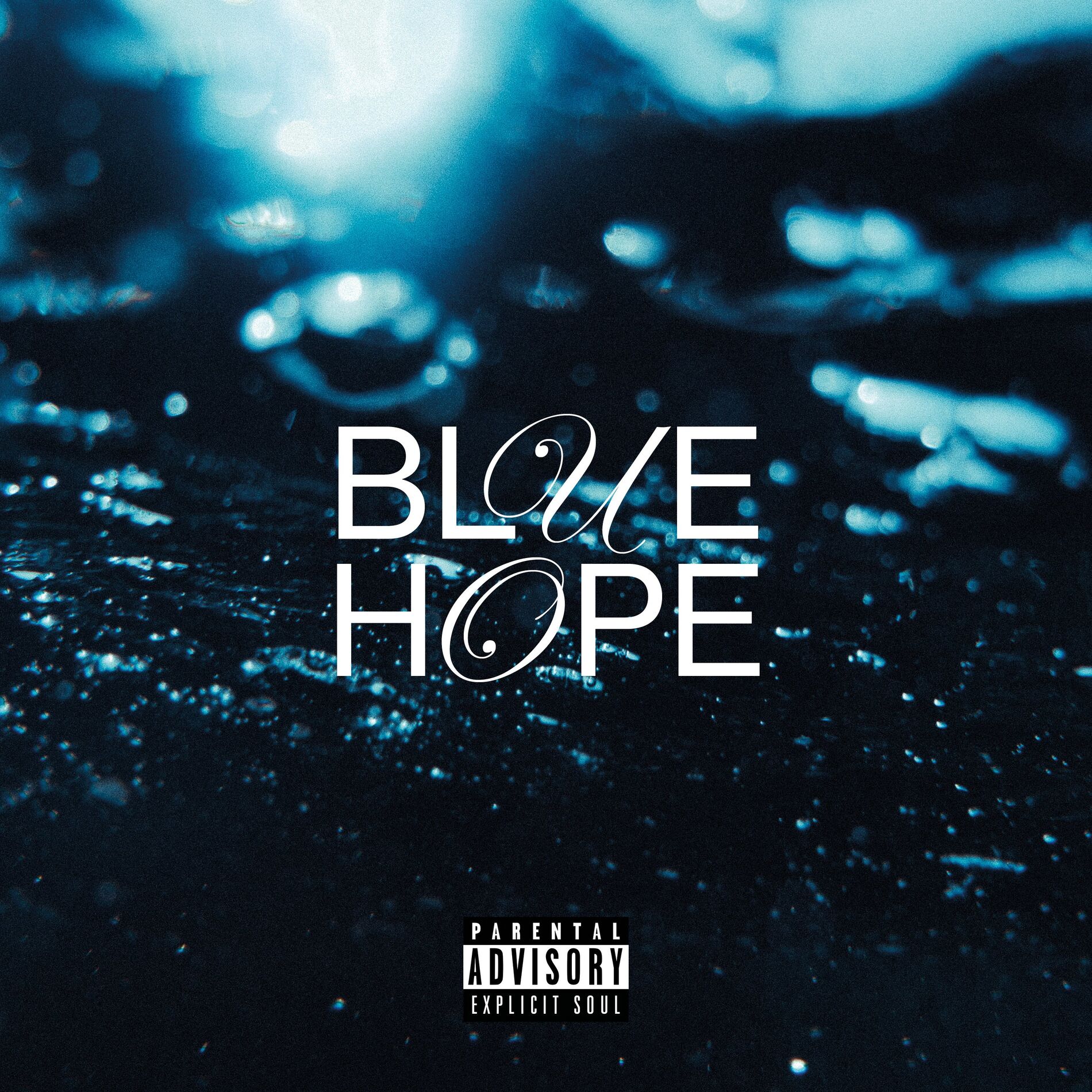 Album cover of Wholesome
