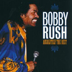 Cover of Absolutely The Best