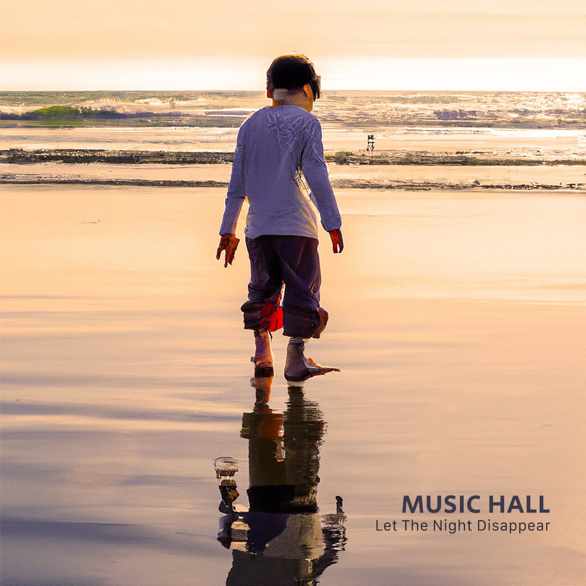 Album cover of Let The Night Disappear