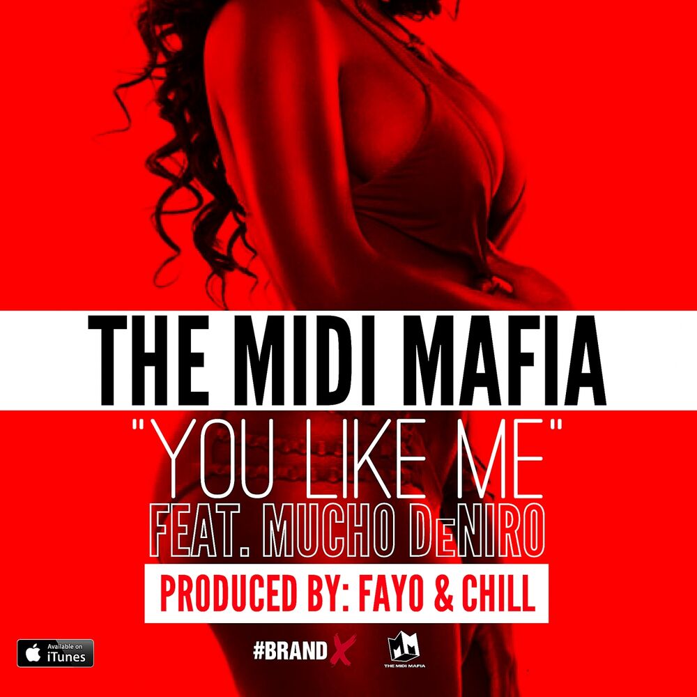 Picture of You Like Me (feat. Mucho Deniro) - Single