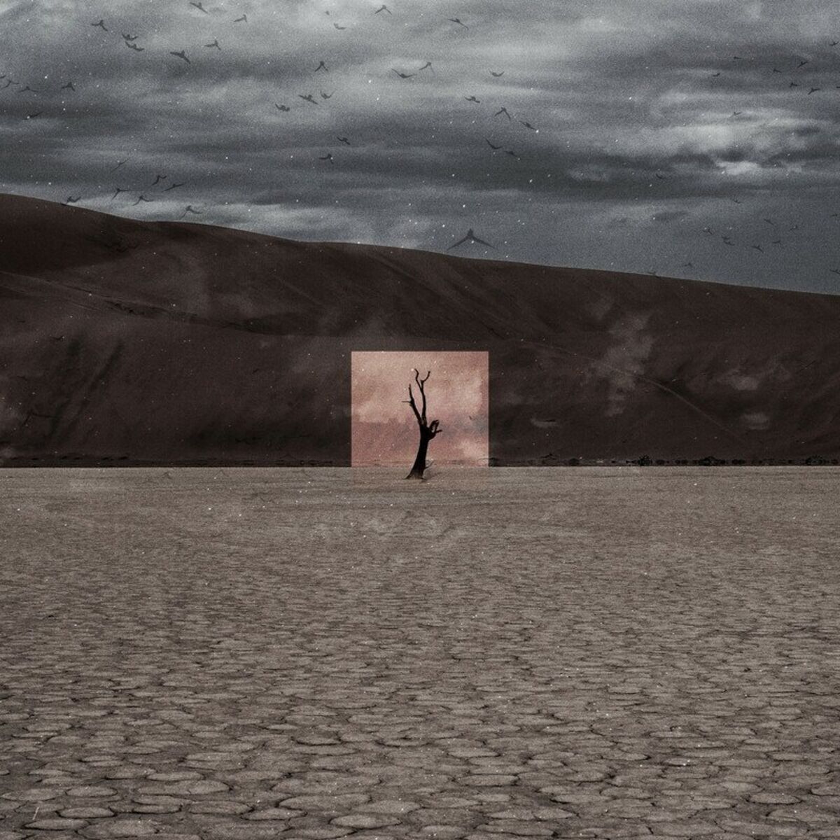 Album cover of Stone Caskets