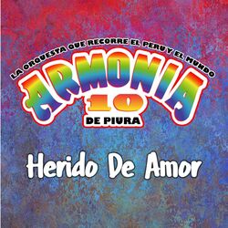 Cover of Herido de Amor