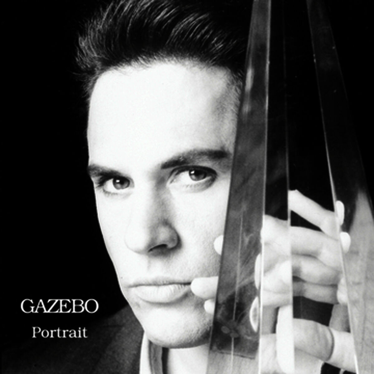 Album cover of Portrait