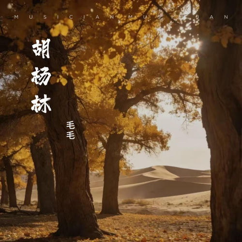 胡杨林