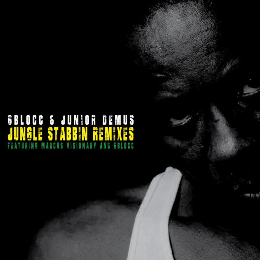 Picture of Jungle Stabbin' Remixes