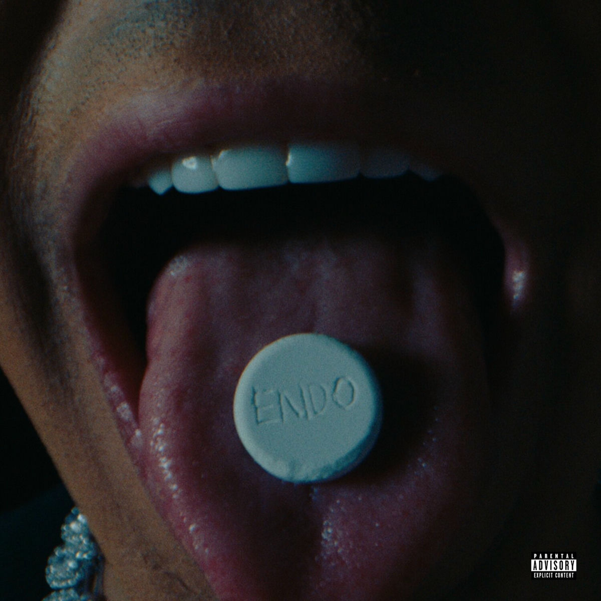 Album cover of Endo