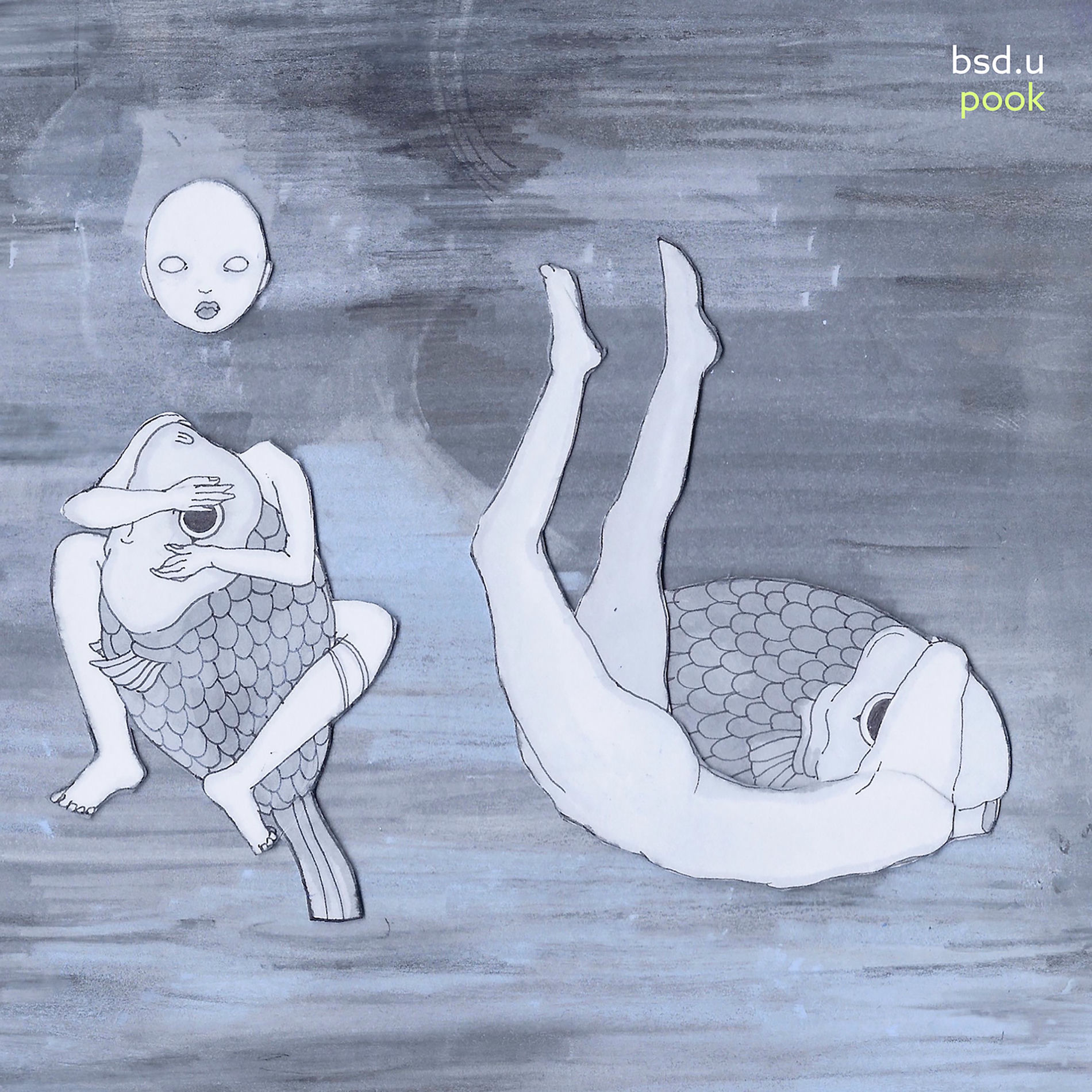 Album cover of pook