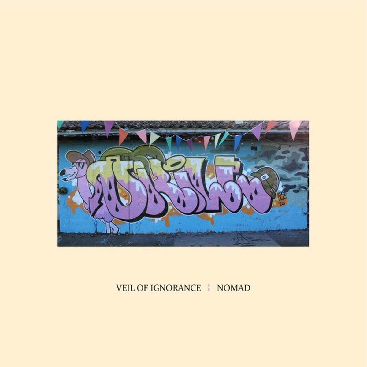 Album cover of Veil of Ignorance