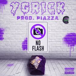 Cover of No Flash