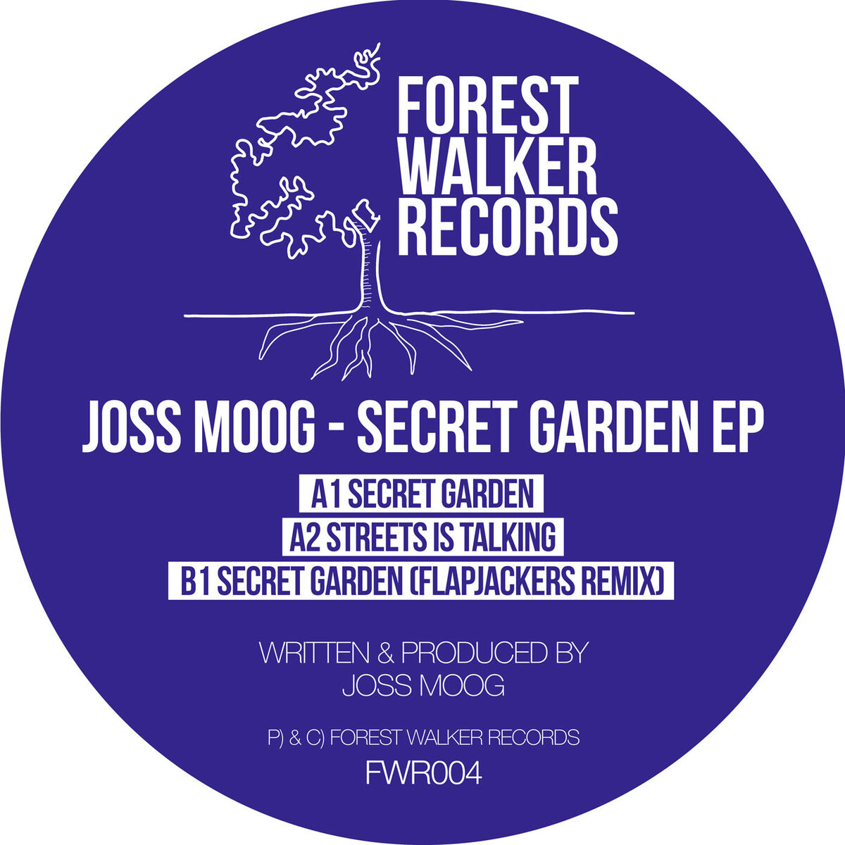 Album cover of Secret Garden EP