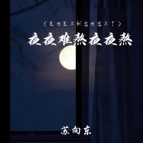 夜夜难熬夜夜熬(见也见不到忘也忘不了)