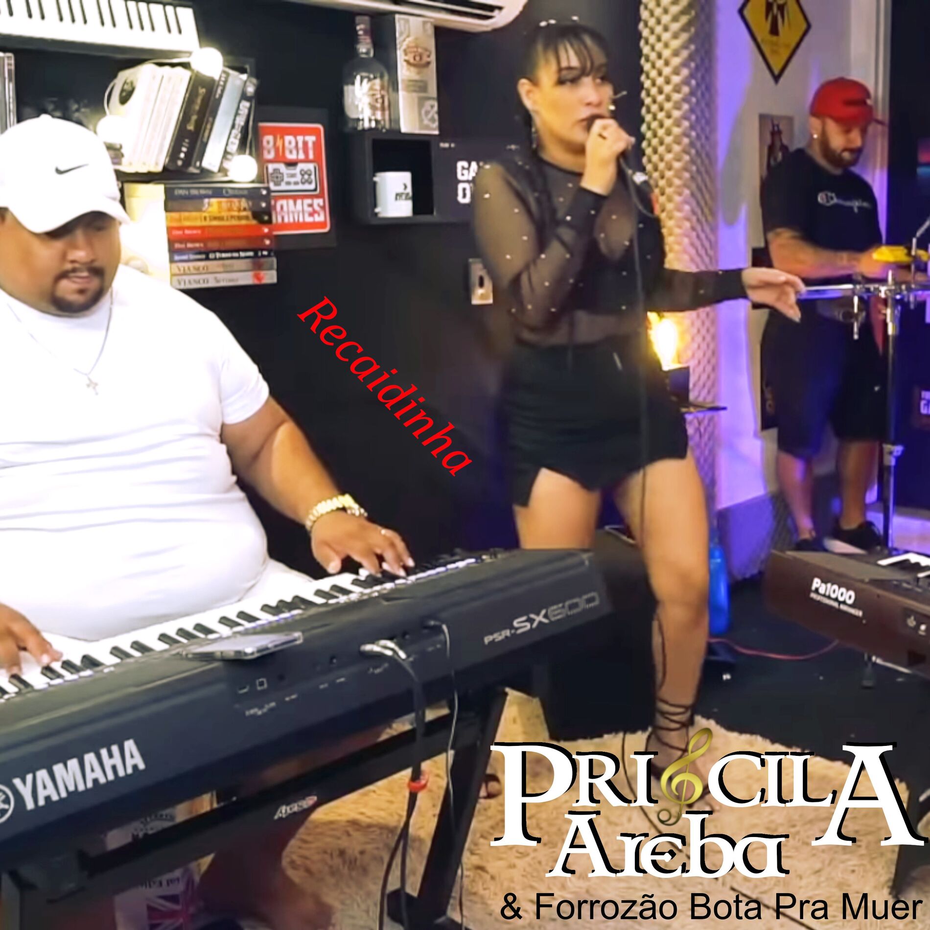 Album cover of Recaidinha